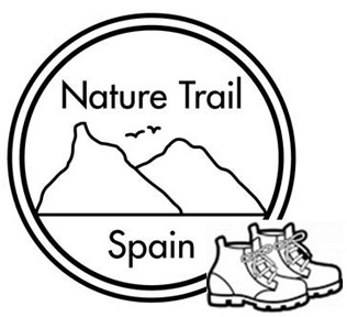 NTSWalkingLogo